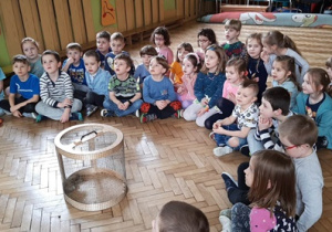 Dzieci słuchają ciekawostek na temat życia wiewiórki i jeża