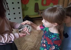 Maja dotyka jeżyka