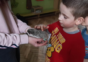 Darek dotyka jeża