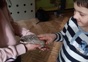 Andrii dotyka kolce jeża