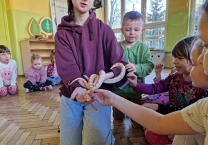 Wąż
