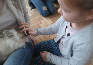 Dziewczynka głaszcze futerko Tosi