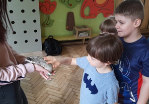 Dzieci dotykają jeżyka
