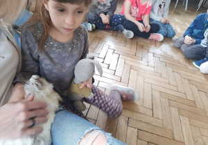 Dzieci słuchają opowieści o życiu zwierzątek