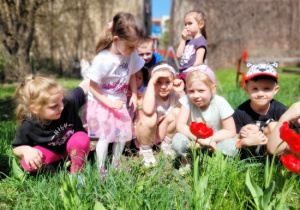 wszyscy chcą zdjęcie