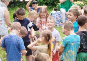 radosne Biedronki