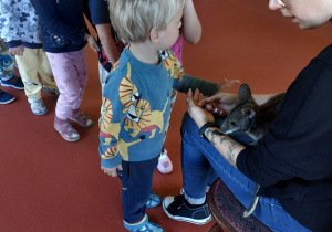 Dzieci cierpliwie czekają na swoją kolej, żeby pogłaskać pademelona