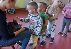 Kolejka do głaskania