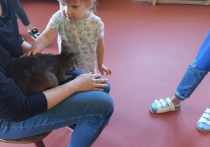 Dziewczynka delikatnie głaszcze pademelona