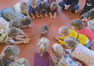 Kangur wita wszystkie dzieci