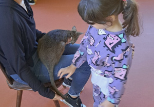 Dziewczynka i Pademelon