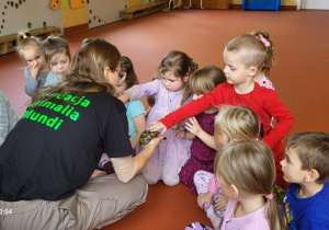 Głaskanie, dotykanie przez dzieci żółwi podczas warsztatów "Odlotowe pokazy"