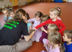 Pokaz zwierząt "Żółwie"