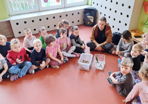 Słuchamy ciekwostek na temat zwierzątek