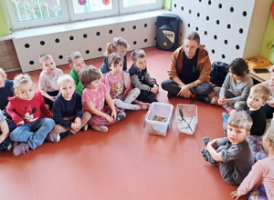 "Pokaz zwierząt - kameleon i jaszczurka"