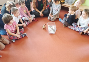 Dzieci obserwują zwierzątka