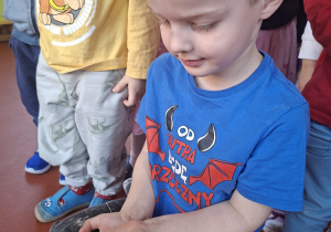 Chłopiec trzyma karaczana na dłoni