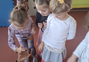 Możemy pogłaskać ?