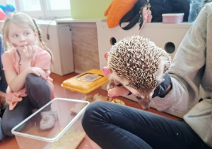 Dzieci obserwują co robi jeżyk