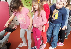 Czekamy na swoją kolej