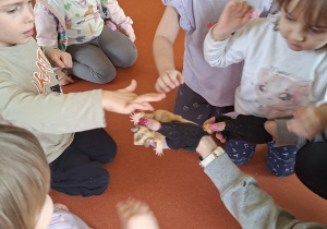 Dzieci głaszczą lotopałankę Rysia