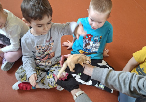 Chłopcy oglądają Rysia