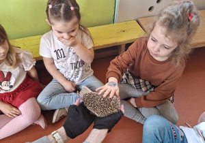 Dziewczynka głaszcze jeżyka