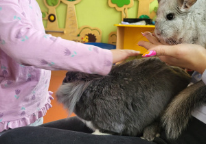 Dziewczynka głaszcze królika