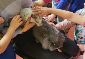 Dzieci głaszczą zwierzątko