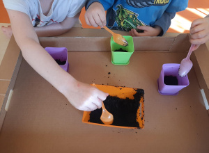 Siejemy rzeżuchę i owies